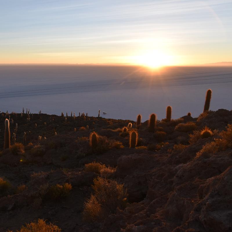 Vue du levé de soleil depuis l'ile aux cactus sur le Salar d'Uyuni